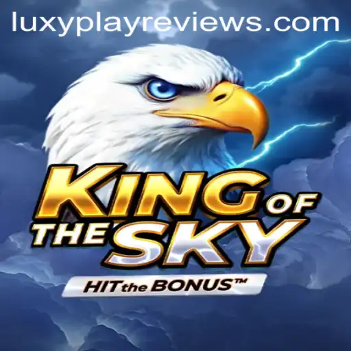 A Comprehensive Look at KingOfTheSky